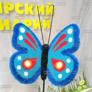 БАБОЧКА порхающая