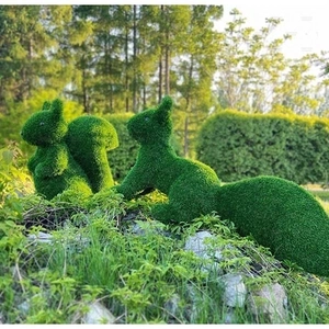 БЕЛКА бегущая