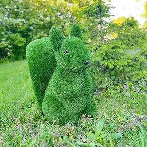 БЕЛКА сидячая