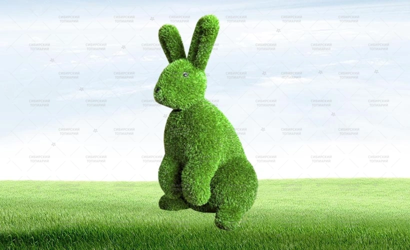 ЗАЯЦ на задних лапах