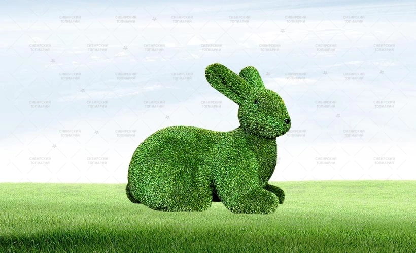 ЗАЯЦ лежачий