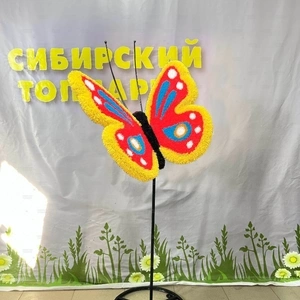 БАБОЧКА порхающая