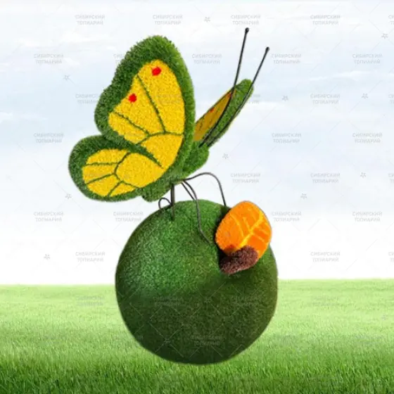 БАБОЧКА на яблоке